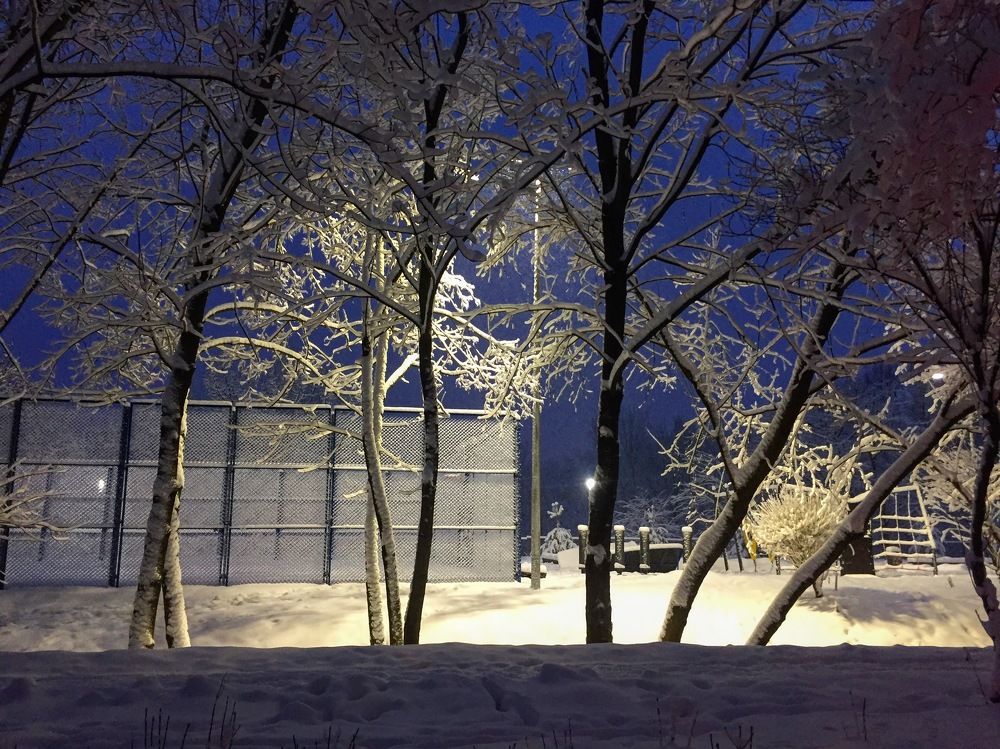 Photograph by Игорь Ворошилов