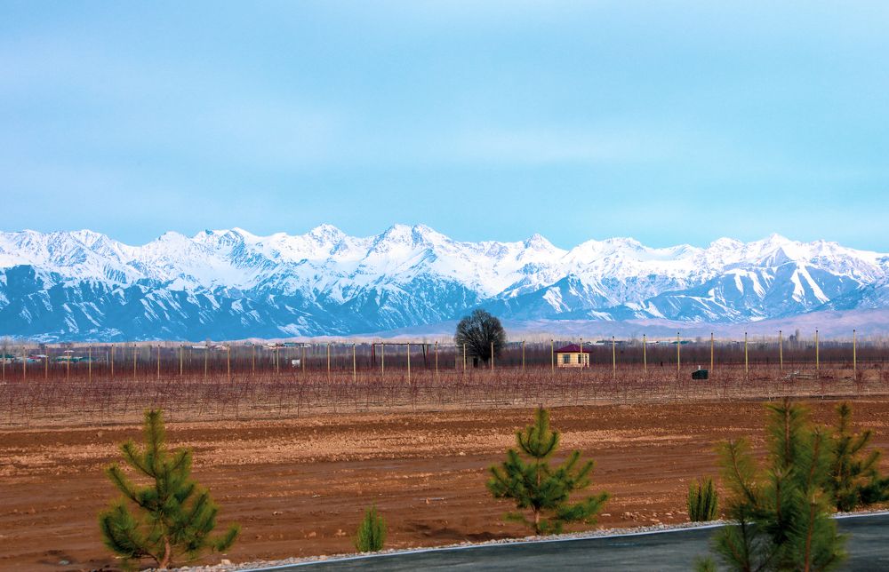 Photograph by Нурманова Мадина