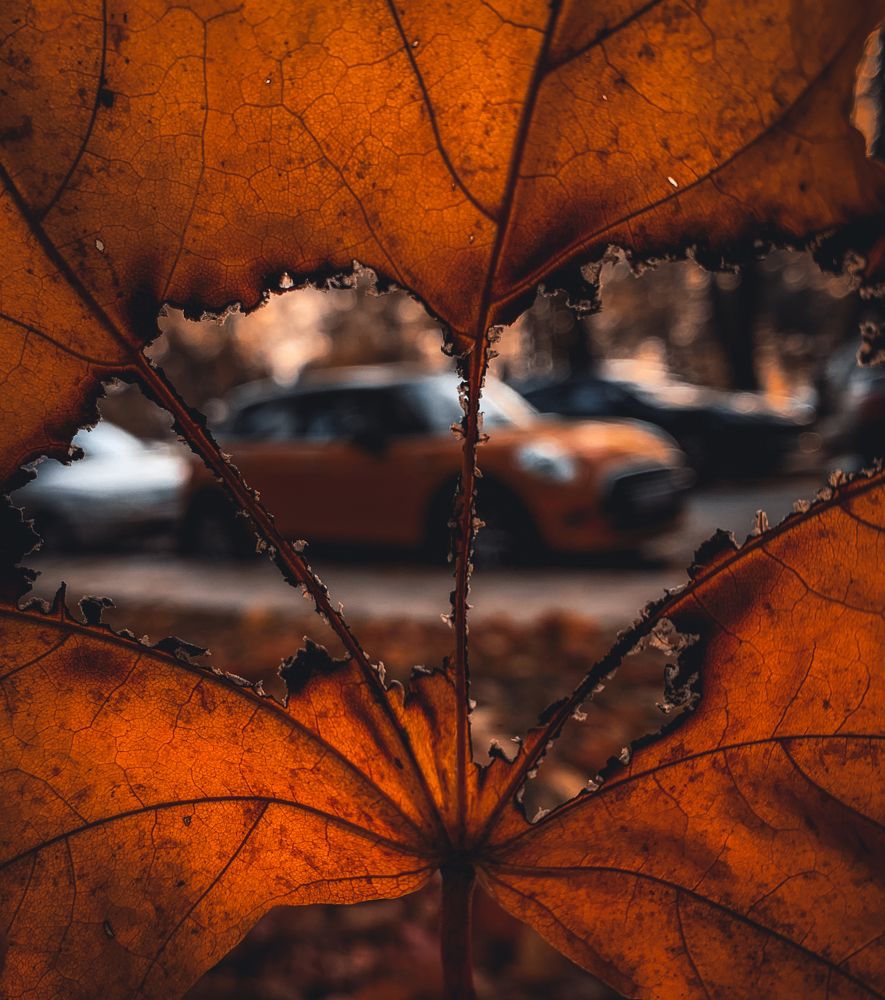 Photograph by Арслан Валаев