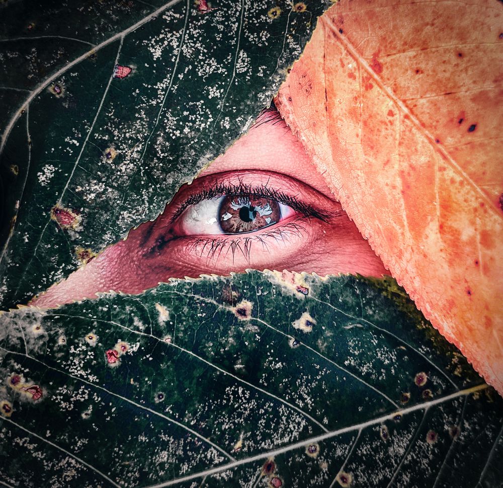 Photograph by Sheraz Babar