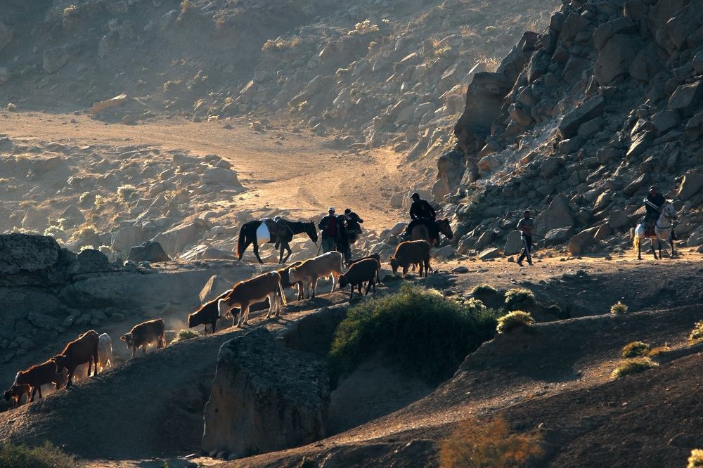 Photograph by Marat Magov