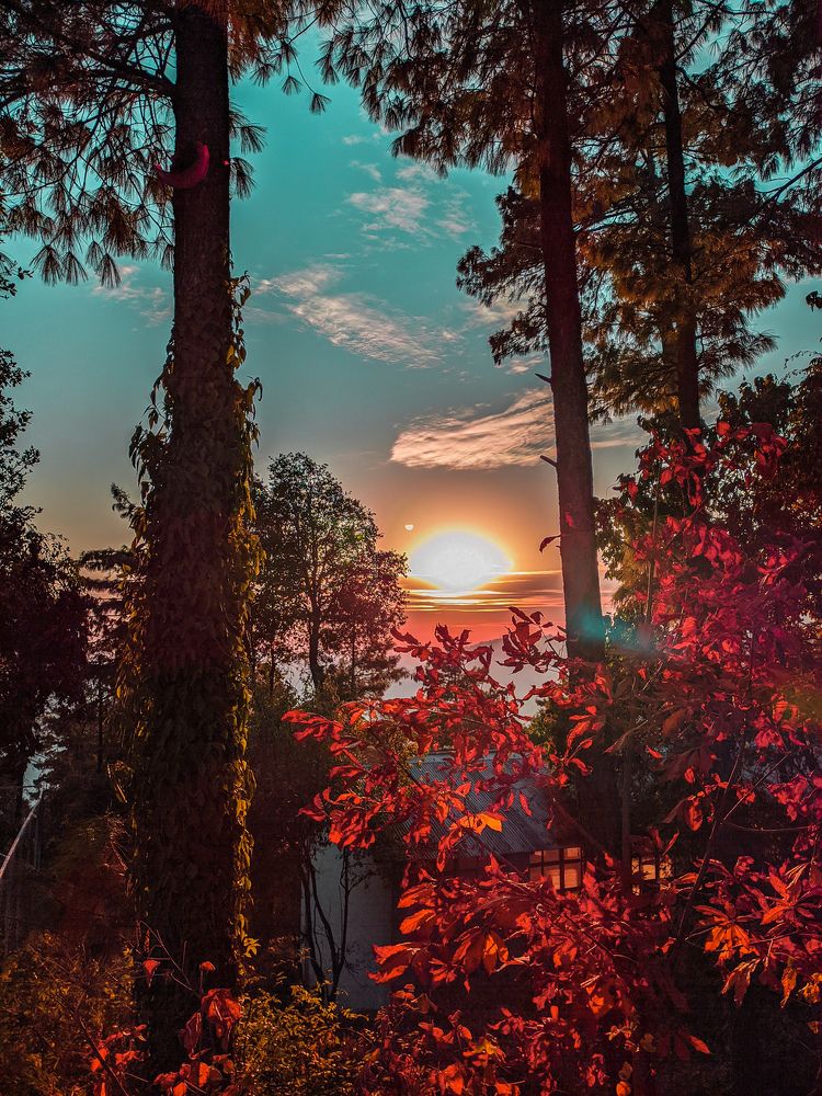 Photograph by Sheraz Babar