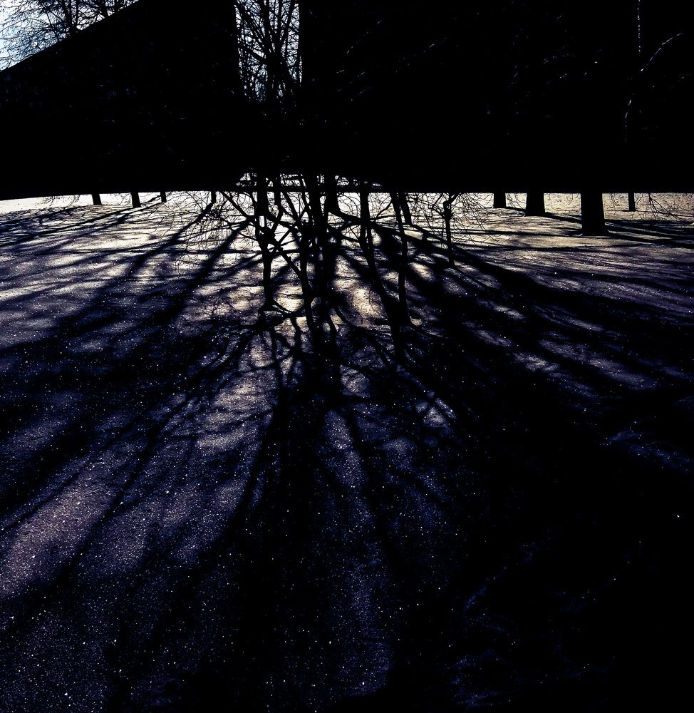 Фотография автора Оля Алехнович