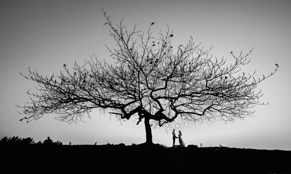 Photograph by Dương Nguyễn