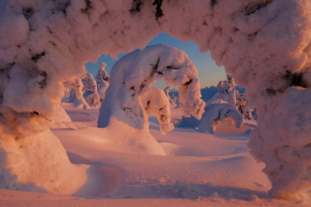 Photograph by Cтадник Илья