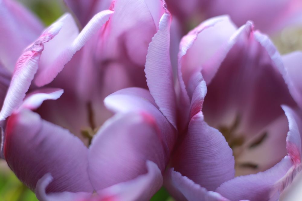 Photograph by Людмила Панченко