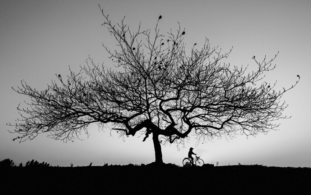 Photograph by Dương Nguyễn