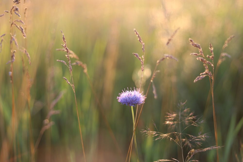 Photograph by Людмила Панченко