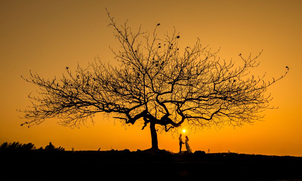 Photograph by Dương Nguyễn