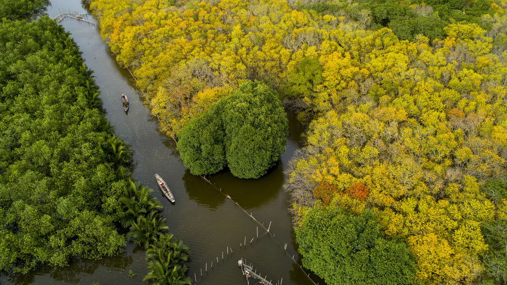 Photograph by Nguyễn Trung Thành