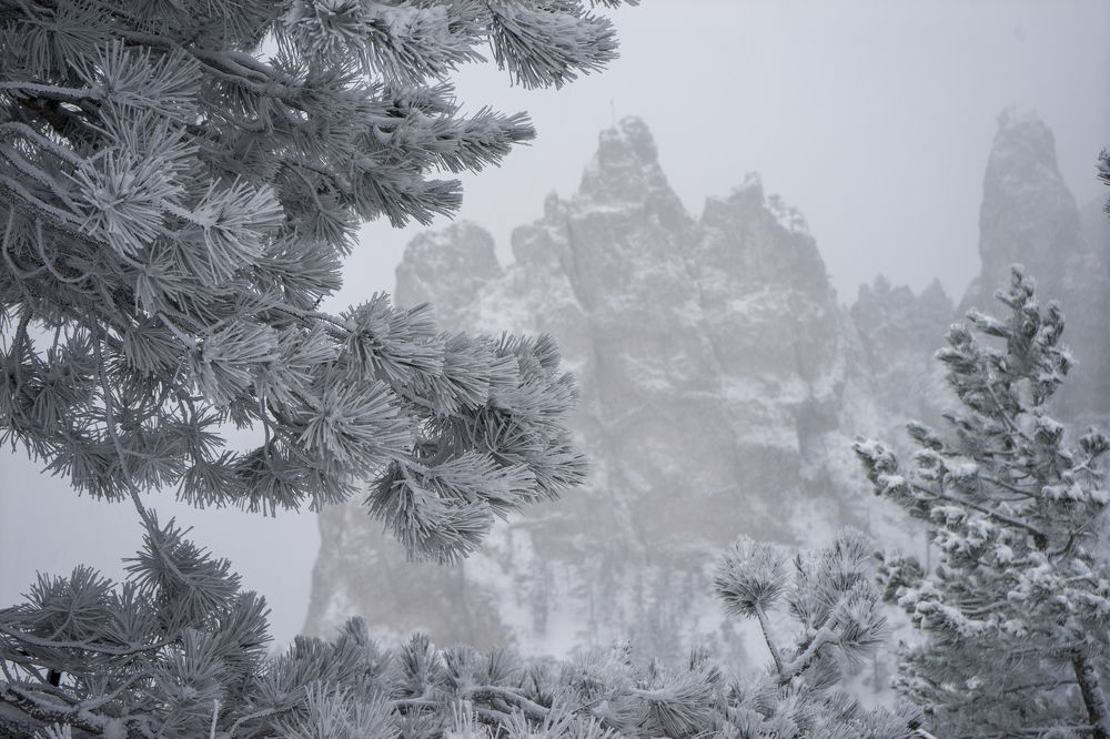 Photograph by Громадко