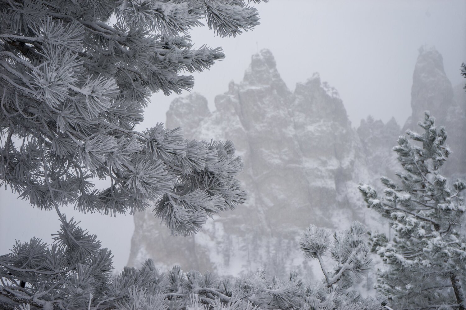 Photo #5809897