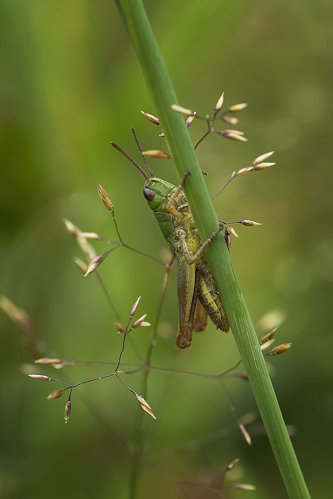 Photograph by Полина Васеева