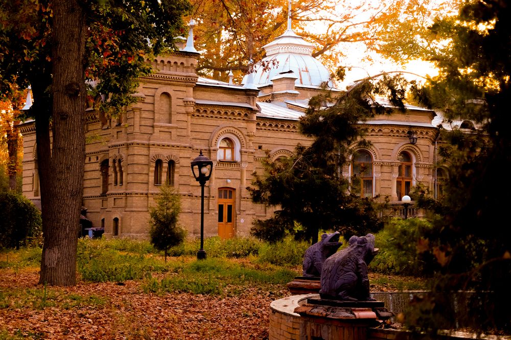 Photograph by Софина Марина