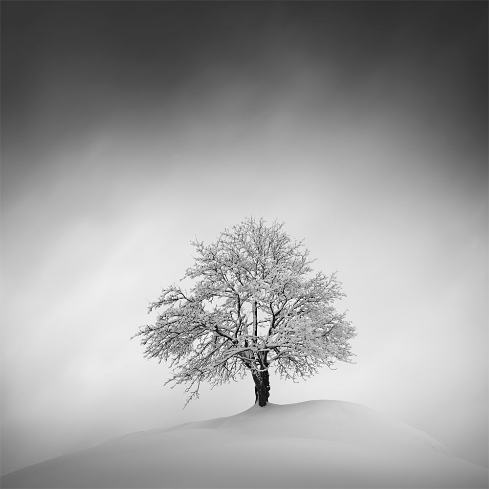 Photograph by Tomas Tison