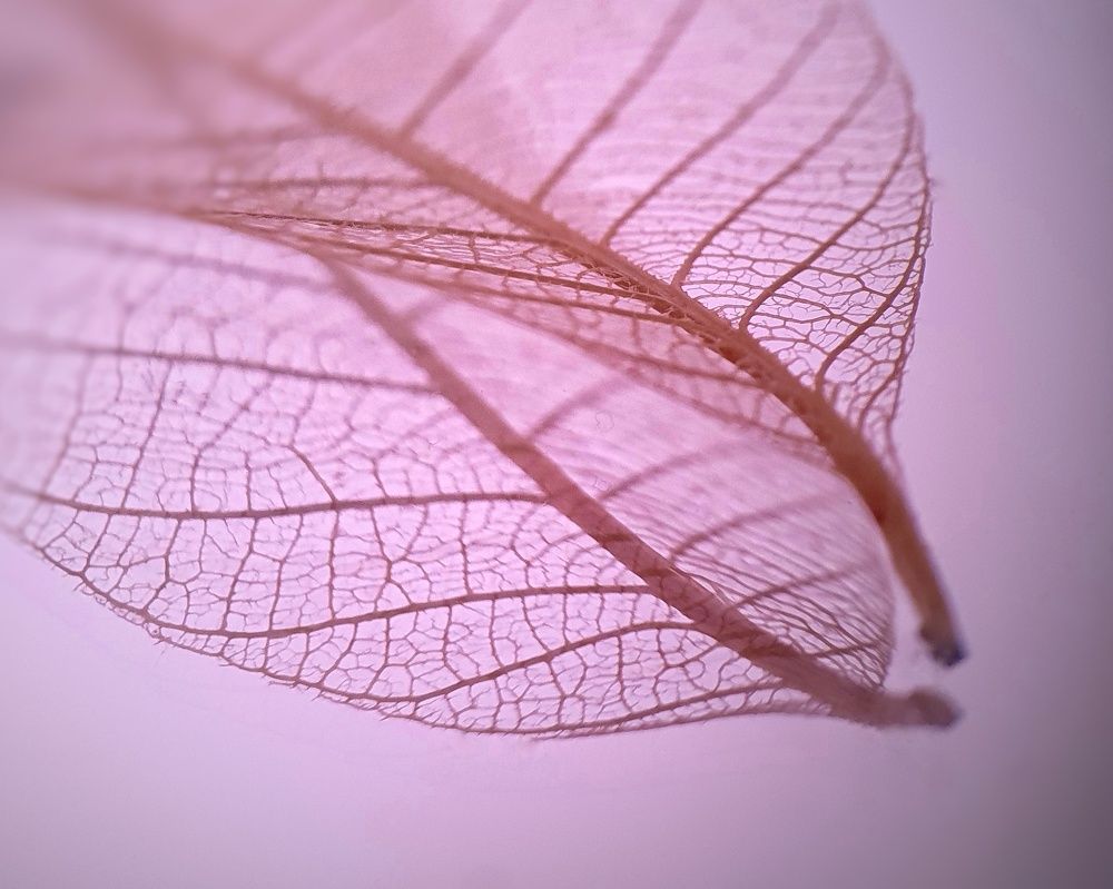 Photograph by Татьяна Мельникова