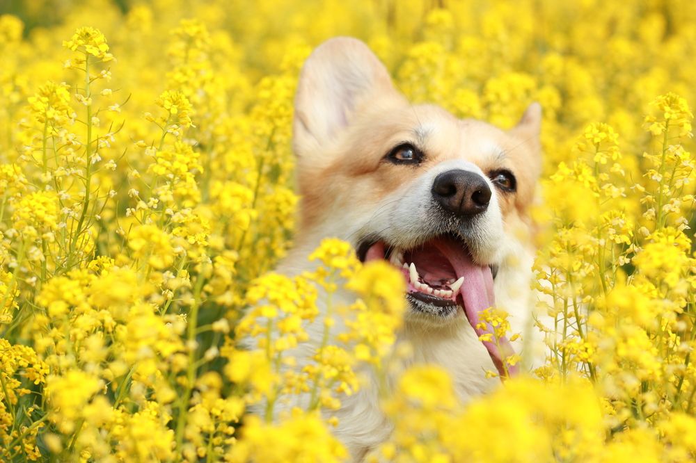 Photograph by Людмила Панченко