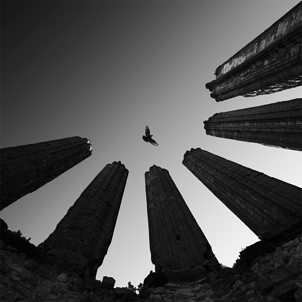 Photograph by Tomas Tison