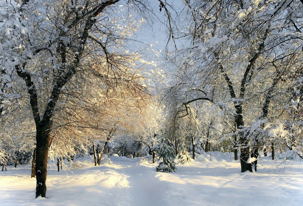 Photograph by Искандар Газизов