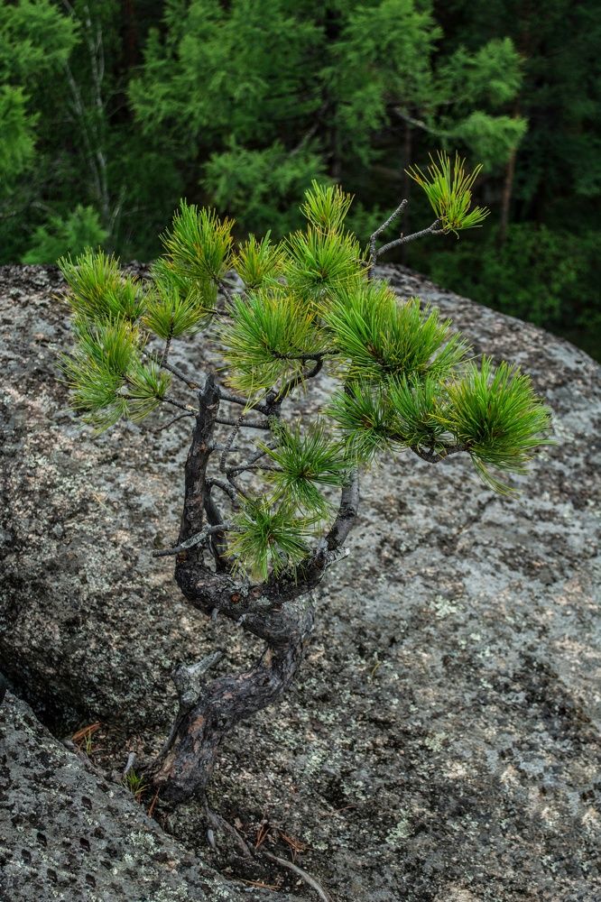 Photograph by Анна Иванова