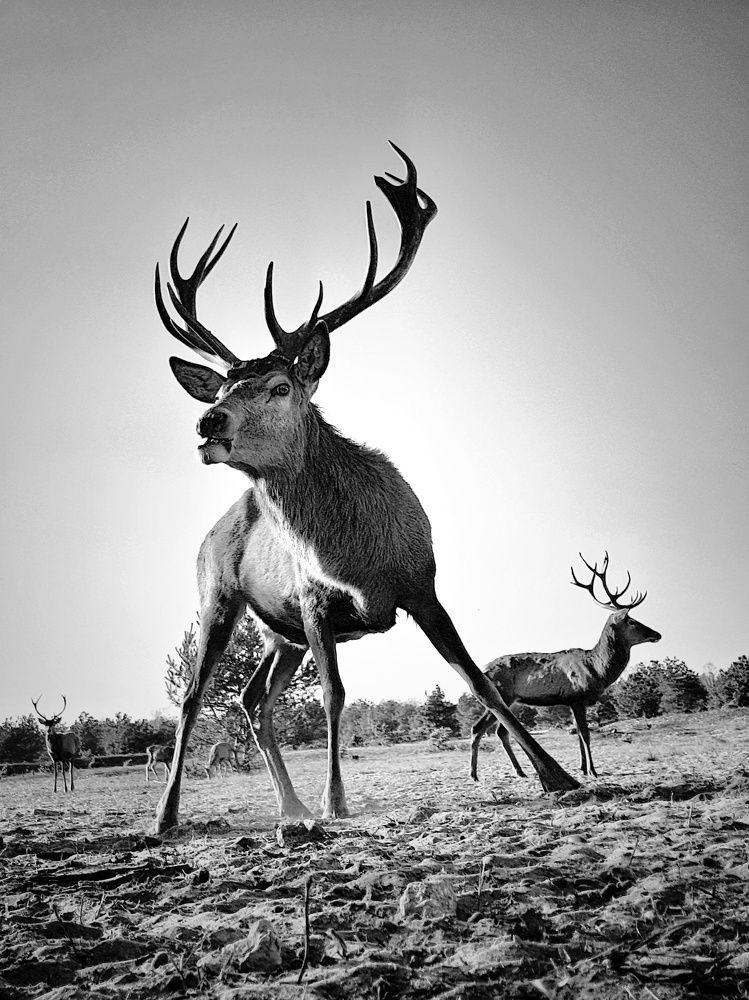 Photograph by Olga Weinberger