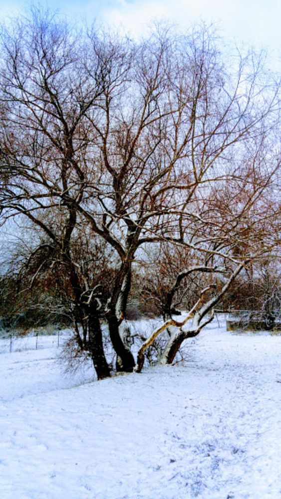 Photograph by Mátrai Melinda