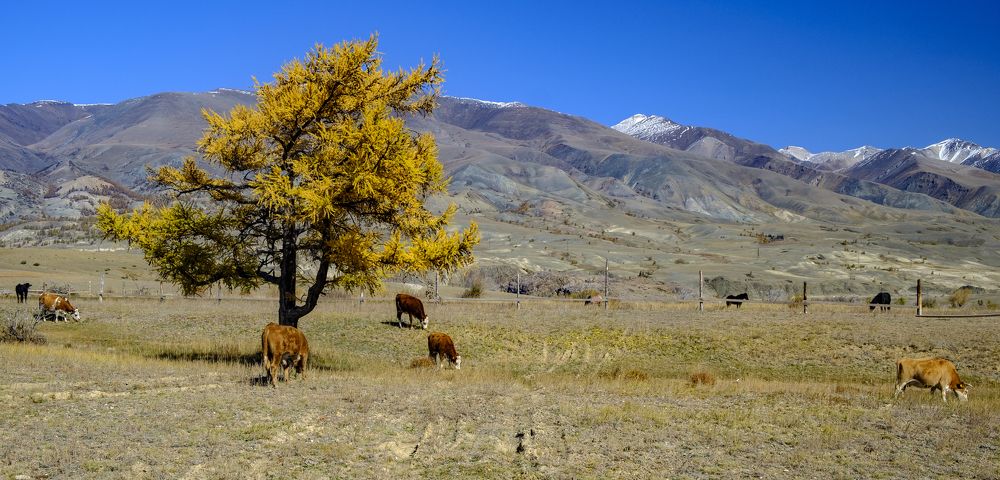 Photograph by Сергей Шталенков