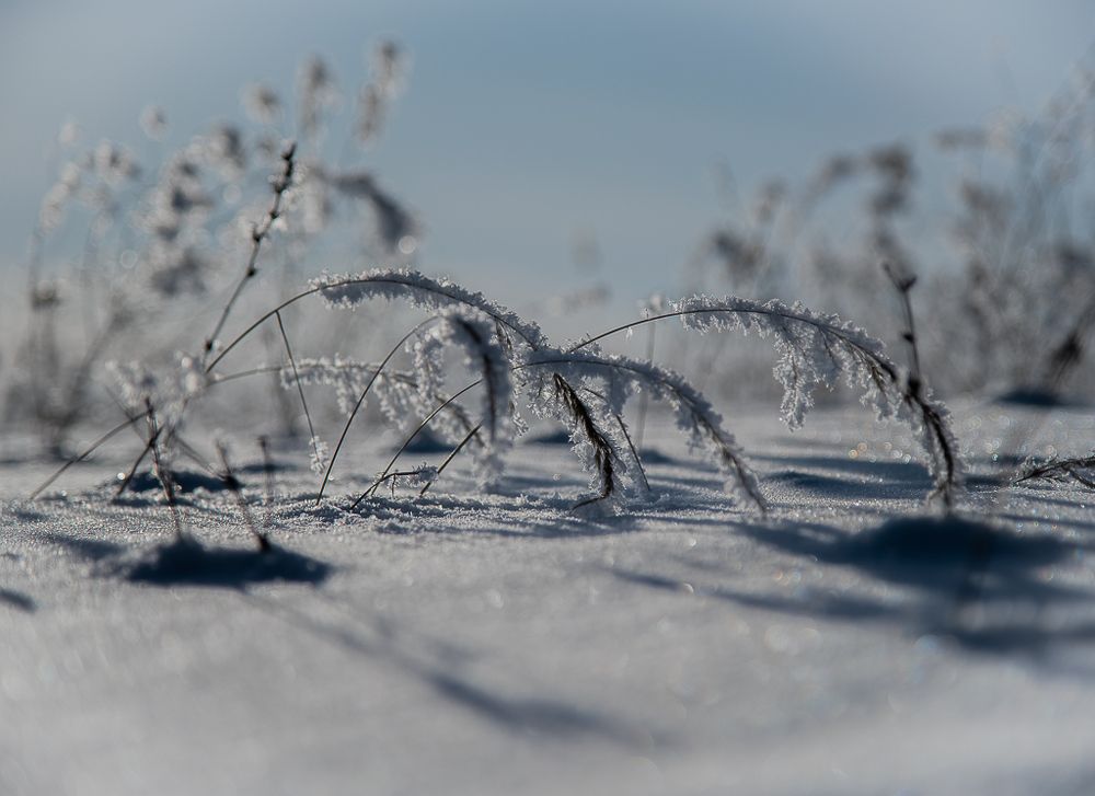Photograph by Раббе Владимир