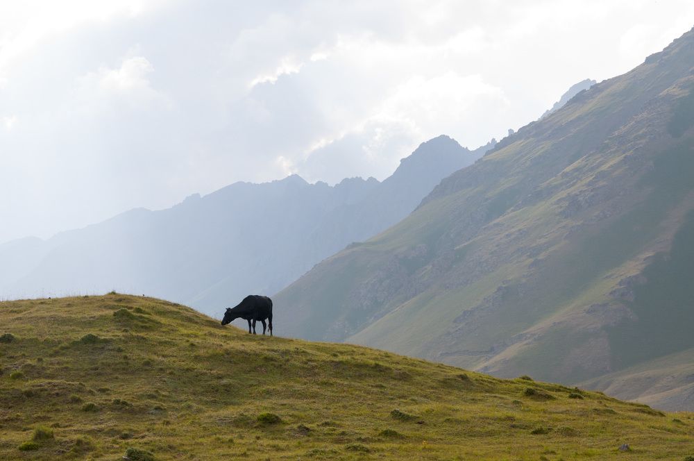 Восхождение на Эльбрус
