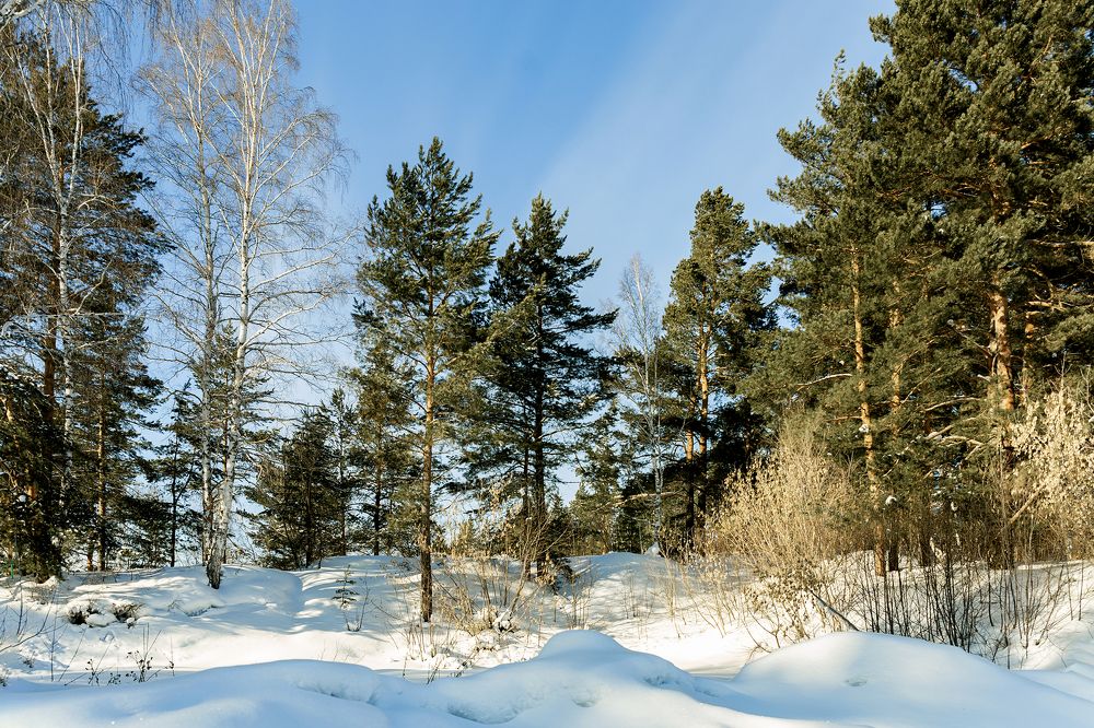 Photograph by Евгений Вяткин