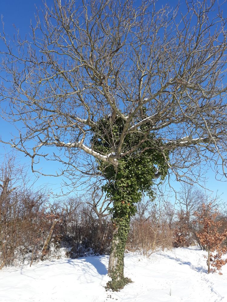 Photograph by Larissa Nayda