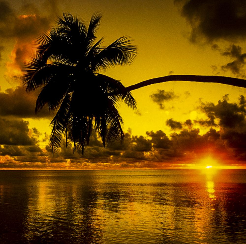 Photograph by Jorge Muñoz