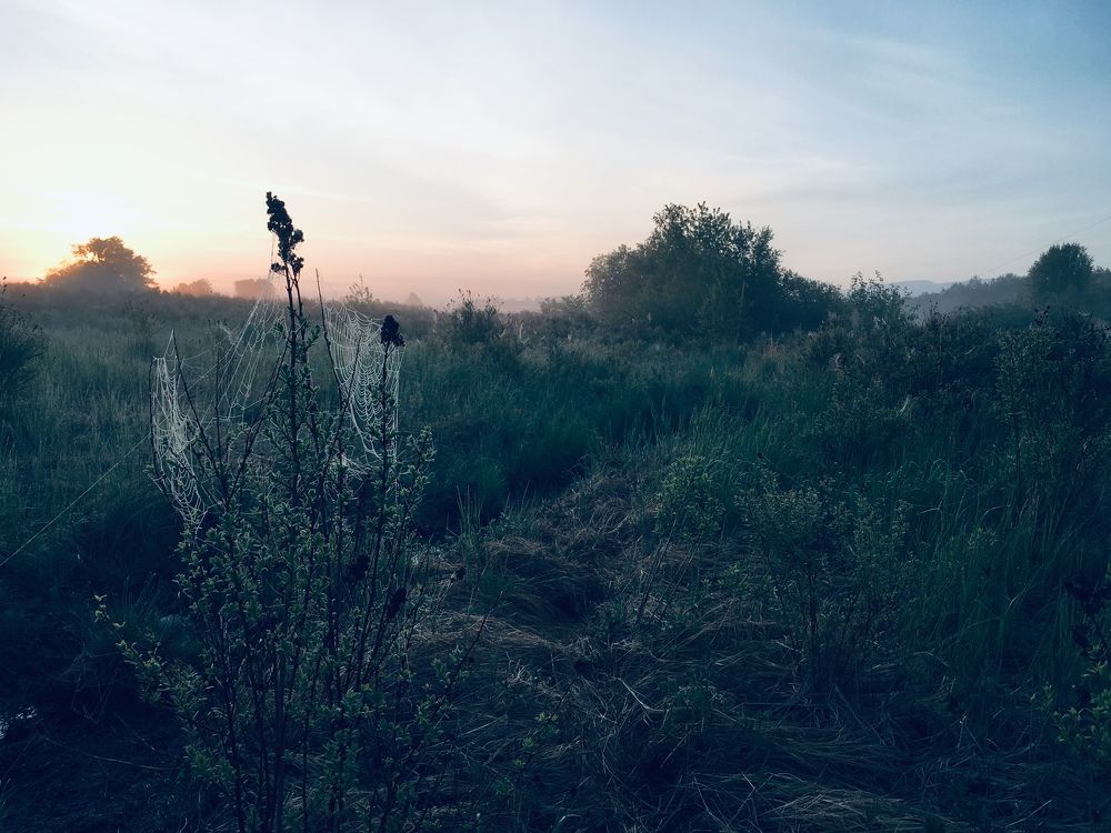 Photograph by Анна