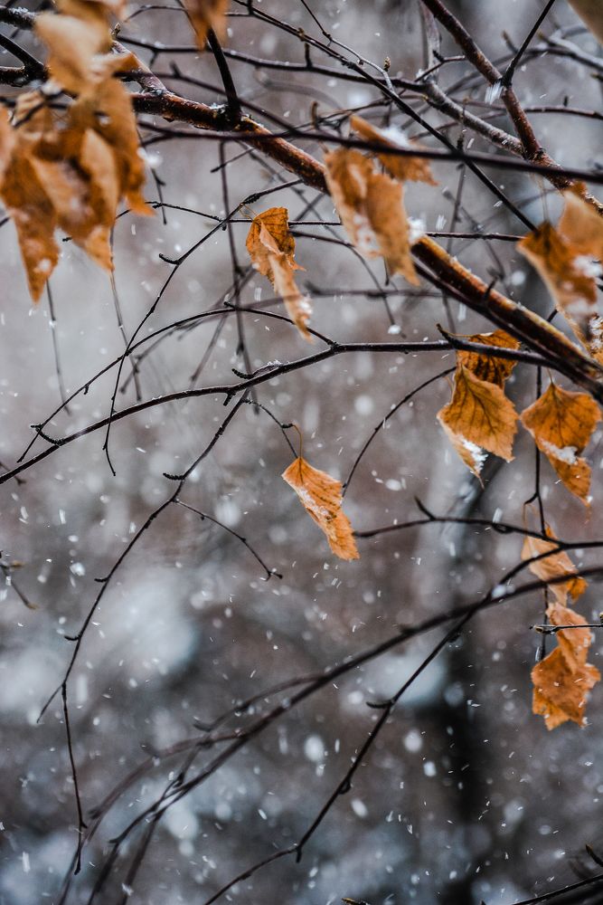 Photograph by Анна Иванова