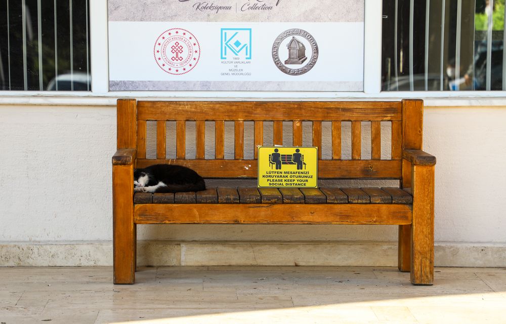 Photograph by Нурманова Мадина