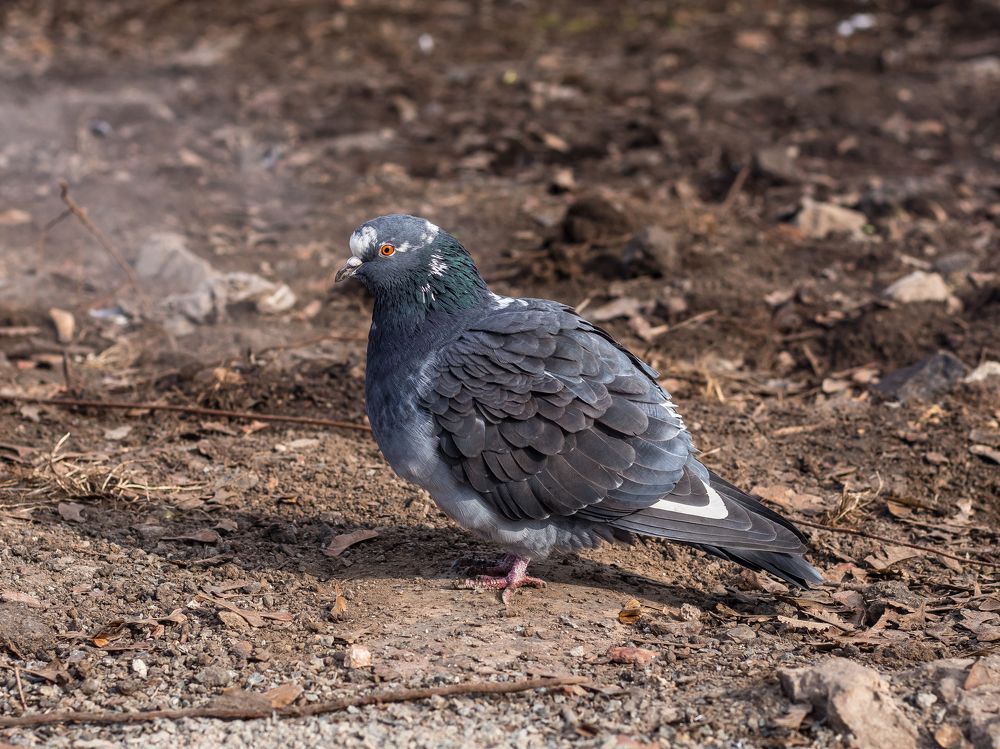 Photograph by Денис Кузнецов