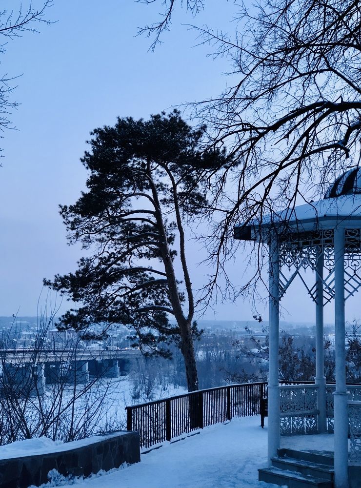 Одинокая сосна