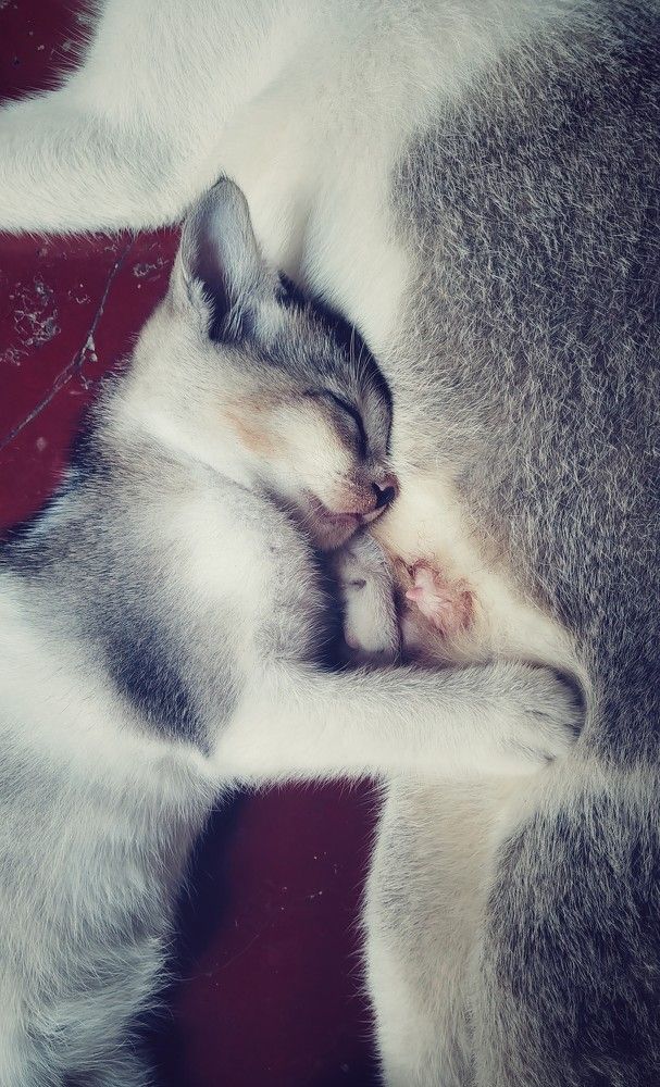 Photograph by Sourav Mondal