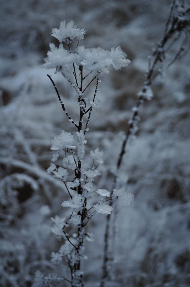 Photograph by Анастасия Обидина