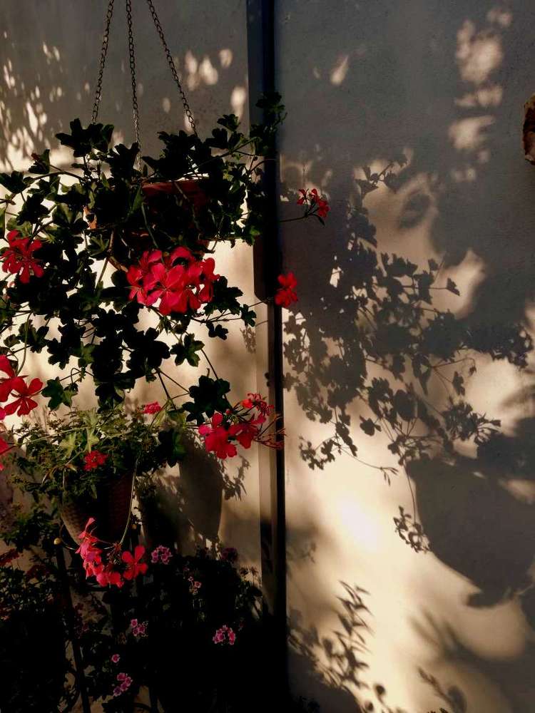 Photograph by Anna Gancheva