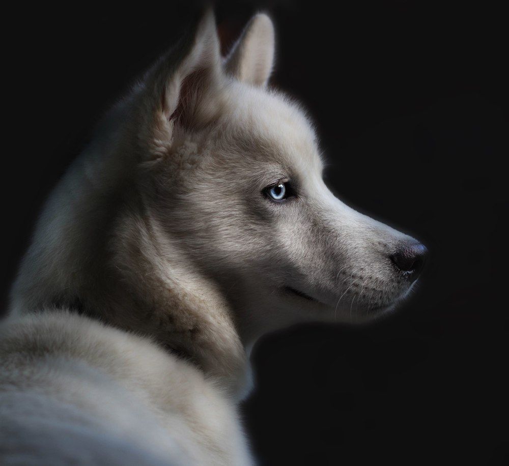 Photograph by Svoboda Andreeva