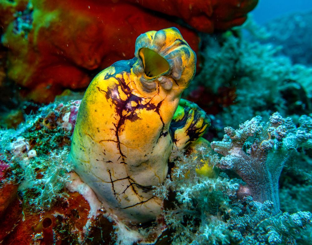 Photograph by Галина Михоношина