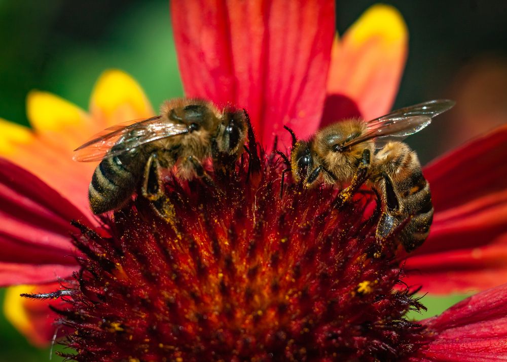 Photograph by Мария Бузыцкая