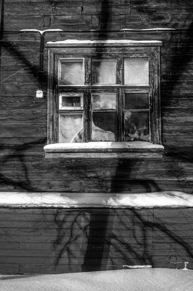 Photograph by Yaroslav Sibilenko