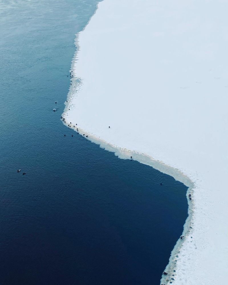 Photograph by Виктория Ткачук