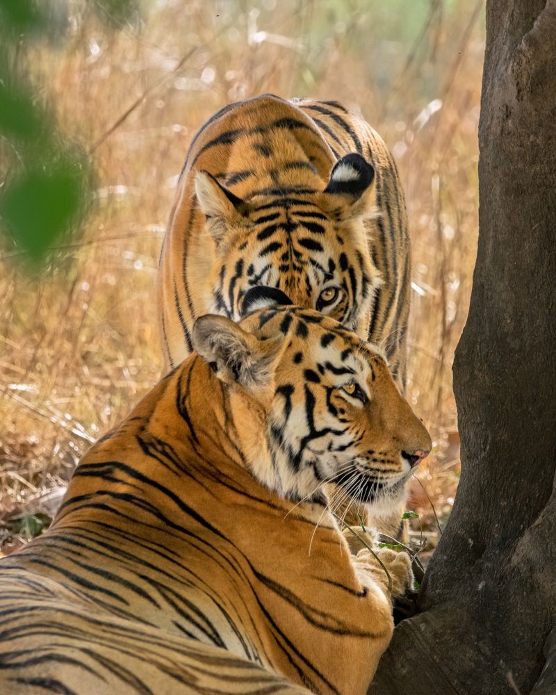 Photograph by Abhishek Kumar