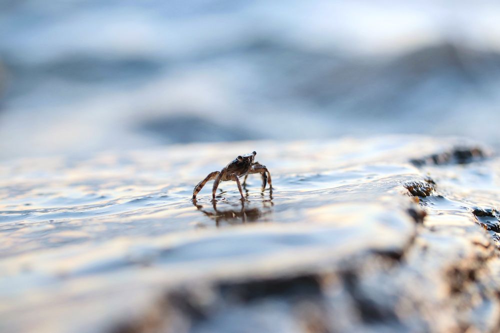 Photograph by Айша Кистаубаева