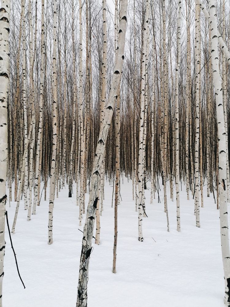 Photo #5810881