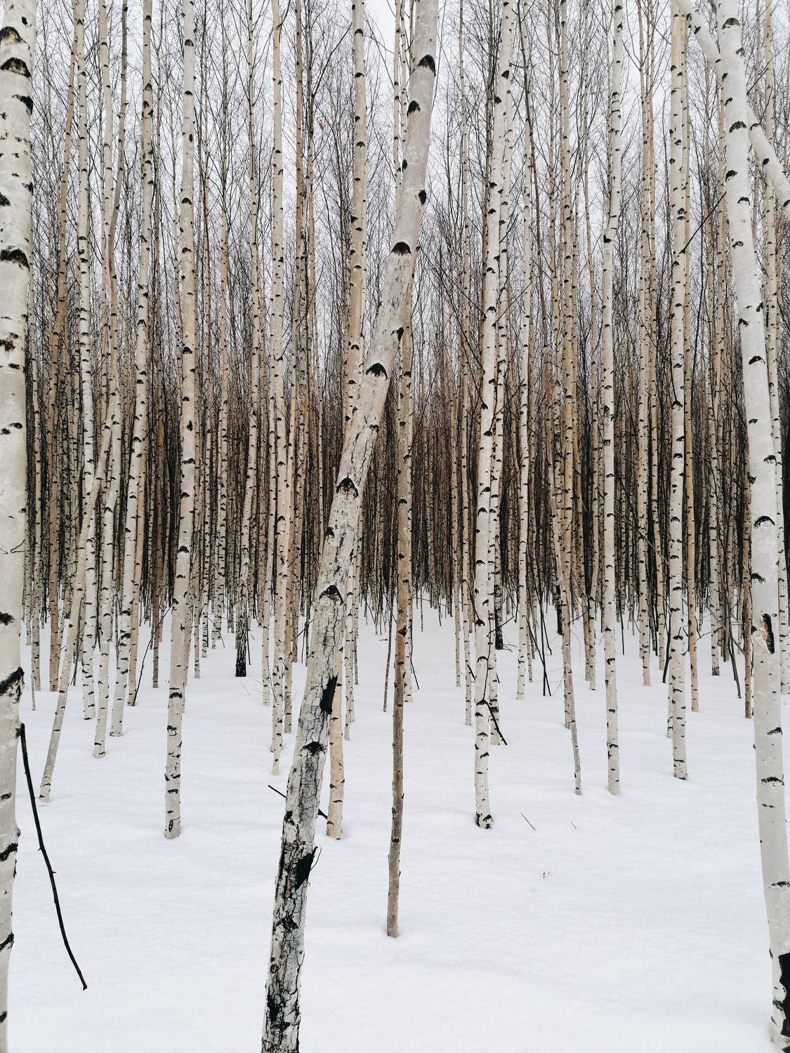 Photo #5810881