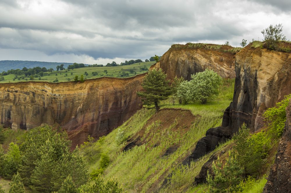 Фотография автора Comșa Bogdan